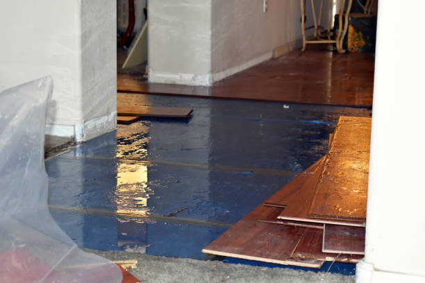 Professional Sewage Cleanup technician working in Glencoe, IL